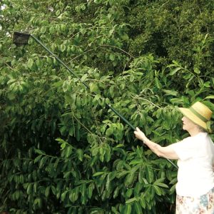 *NEW* The Boylestone Fruit Picker